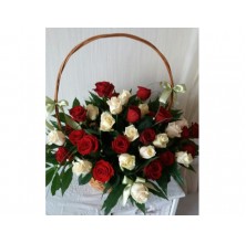 Splendid Roses - 36 Stems Basket